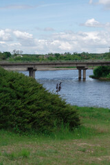 bridge over the river