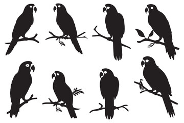 parrot bird silhouette black vector illustration
