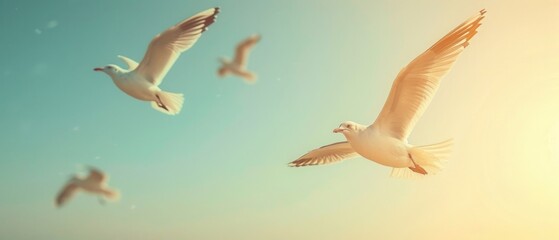 Obraz premium Three birds flying in the sky with a blue background