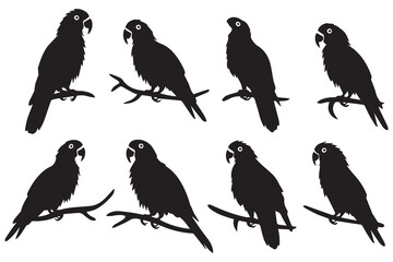 parrot bird silhouette black vector illustration