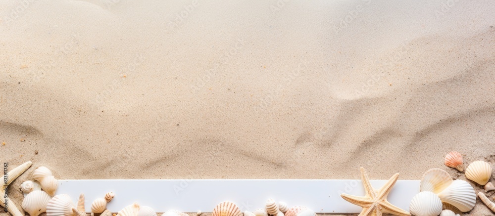 Poster Top view of vacation memories featuring a beach seashells and starfish with a blank photo frame placed on the sand providing ample copy space for adding personalized messages or designs to complete t