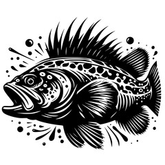 black and white fish