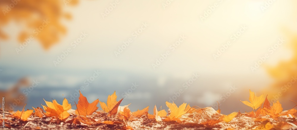 Canvas Prints autumn scenery with dry leaves gracefully descending on the earth creating an ideal copy space image