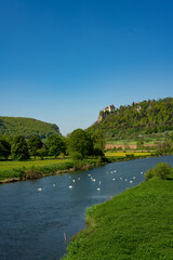 Fototapeta premium Donautal, Donau, Rocks, Germany, river, forest