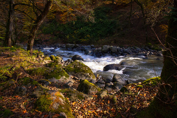Fast clear river in the forest in autumn. Azerbaijan.