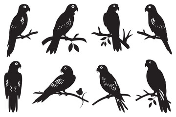 parrot bird silhouette black vector illustration