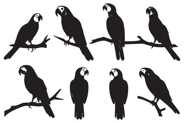 parrot bird silhouette black vector illustration