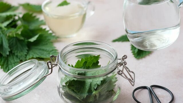 Female hands putting nettle leaves in a glass jar and fill it with water. Handmade herbal remedy nettle tincture. Weight loss and detox. Alternative medicine. side view. 4k footage