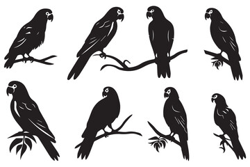 set of parrot silhouettes vector