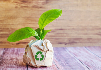 Eco, zero waste, plastic free and saving energy concept  with green leaves growing from recycled paper