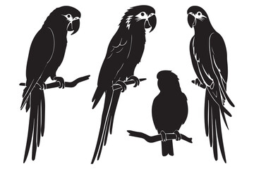 set of parrot silhouettes vector © MDHABIBUR