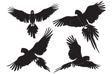 Set of silhouettes of parrots. Collection of tropical birds from the Amazon jungle. Domestic parrot on a sit on a stand. Zoo.Vector illustration on a white background