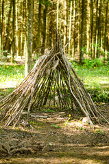 The Tree Hut. High quality photo