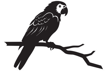 parrot silhouettes vector illustration
