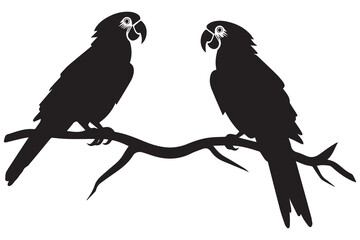 parrot silhouettes vector illustration
