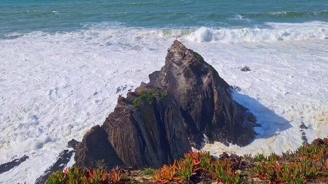 White storks in their nest on a cliff along the coastline of Odeceixe, Algarve in Portugal.
