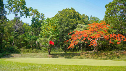View of Golf Course with beautiful putting green. Golf course with a rich green turf beautiful...