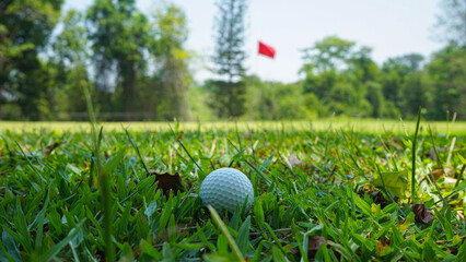 Golf ball on green grass in the evening golf course with sunshine background.