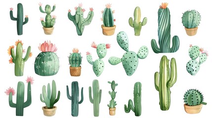 Diverse Assortment of Vibrant Cacti and Succulents in Pots for Home and Office Decor
