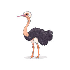 A Cute Ostrich Cartoon           , Cartoon Illustration