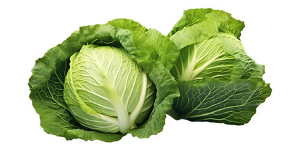 Obraz premium A pair of cabbages with a Transparent background.