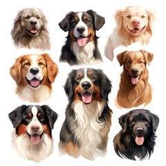 Set of dogs and puppies illustration