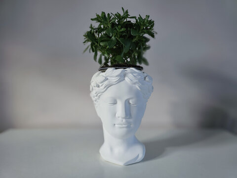 Stand vase in the form of an ancient Greek head for indoor plants