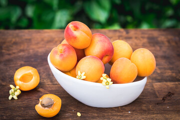 White ceramic bowl with ripe apricots on a wooden table in the garden