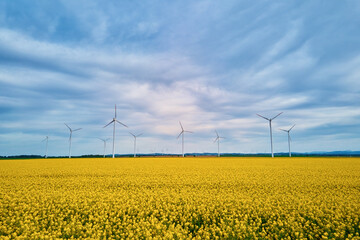 Wind generators over colorful agricultural fields with blooming rapeseed. Turbines produce...