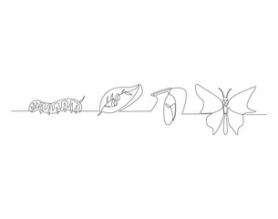 Continuous one line drawing of butterfly life cycle. One line drawing illustration of butterfly metamorphosis. Butterfly transformation concept continuous line art. Editable outline.