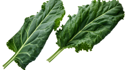 A pair of kale leaves with a Transparent background.