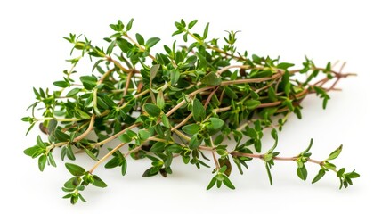 Fresh thyme sprigs isolated on white background.