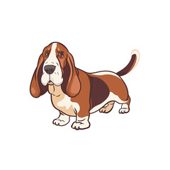 A Cute Basset Hound Dog Cartoon, Cartoon Illustration