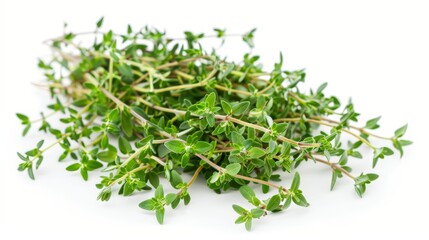 Obraz premium Fresh thyme sprigs isolated on white background.