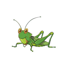 A Cute Cartoon Depiction Of A Grasshopper, Cartoon Illustration