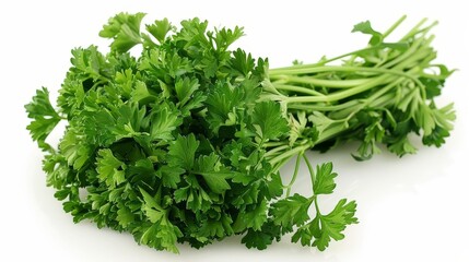 Fresh and healthy parsley, a great addition to any dish!