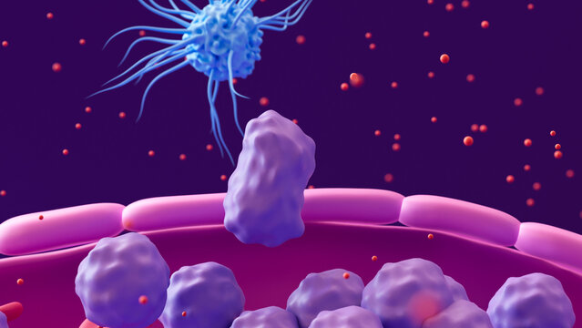 Immune System: Macrophages, Dendritic Cells, and White Blood Cells Defend Against Bacterial Infections and Pathogens