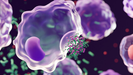 Macrophages: type of white blood cell of the immune system that engulf and digest pathogens, 
such...