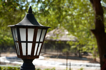 Street lamp in the park. Lamp with blurred natural background in summer season.