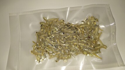 Dried fish in plastic packaging ready to be sold