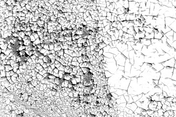 Great detailed photo of many cracks on a white background: a black and white shot of a large number of small cracks: a template for design