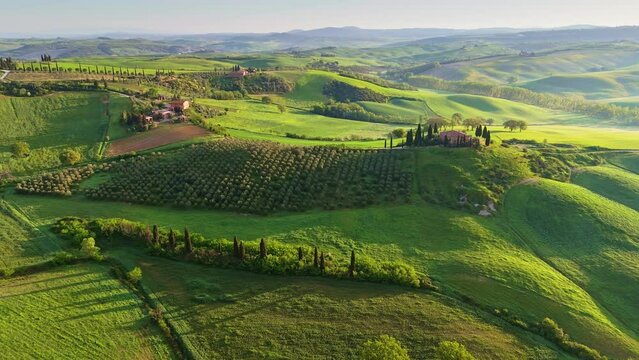 Classic Tuscany landscape with green hills and farmland country at sunrise. Aerial shot of green spring fields and hills in Tuscany, Italy