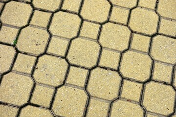 Contemporary paving stone paved with a sidewalk