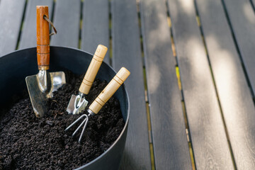 Set of gardening tools in fertile soil, close up view