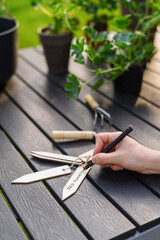 Woman writing tag, marking tomato plants in garden