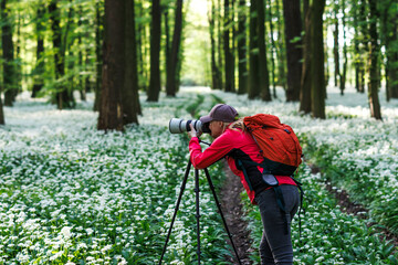 Landscape and wildlife photographer with backpack in forest. Woman with camera on tripod photographing nature in flowering spring woodland