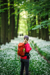 Woman tourist with red backpack hiking in flowering forest. Hike and joy in nature. Female hiker...