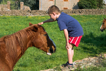 Enfant et Cheval