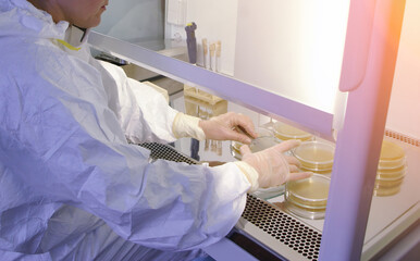 Scientist in protective suit studying harmful microorganisms in biosafety cabinet