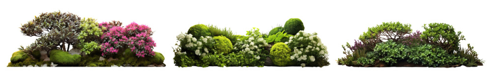 Obraz premium Set of lush garden bushes, cut out